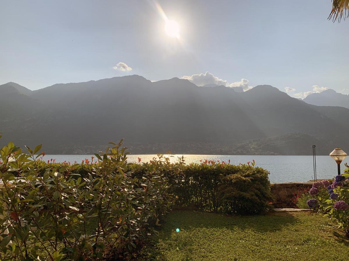 Oliveto LarioTerrace On The Lakeアパートメント エクステリア 写真