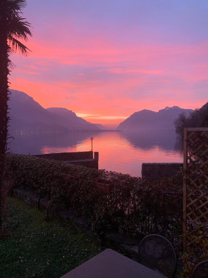 Oliveto LarioTerrace On The Lakeアパートメント エクステリア 写真
